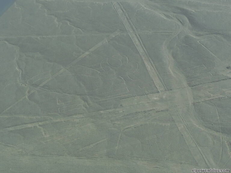 geoglifos de nazca 035